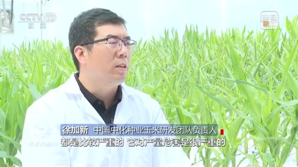 海利集團,長沙殺蟲劑,長沙光氣衍生物,長沙氨基酸保護劑,長沙鋰離子電池材料