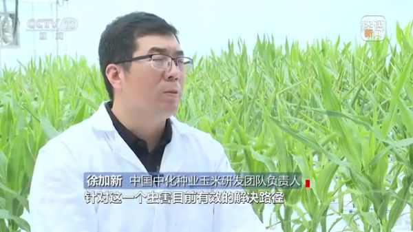 海利集團,長沙殺蟲劑,長沙光氣衍生物,長沙氨基酸保護劑,長沙鋰離子電池材料